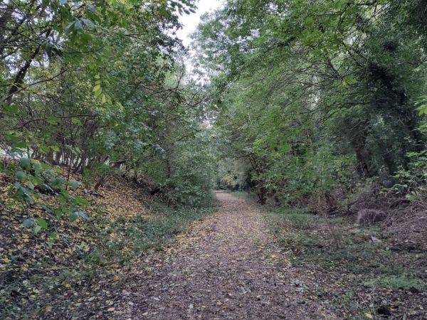 Track of the Cambridge-Mildenhall railway